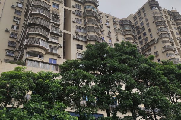 金龙大厦,东渡路250-252号-厦门金龙大厦二手房,租房-厦门安居客