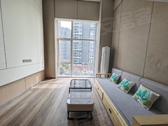 宜春袁州袁州新城和悦财富中心 原木风温馨复式 近万达区政府 可 随时看房出租房源真实图片