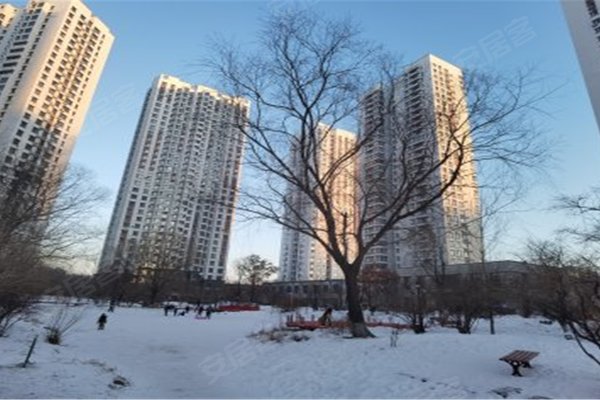 枫蓝国际,复旦街65号-哈尔滨枫蓝国际二手房,租房-哈尔滨安居客