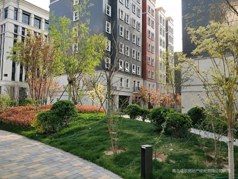 青岛房产网>青岛二手房>城阳二手房>流亭二手房>富力总部基地>800_600