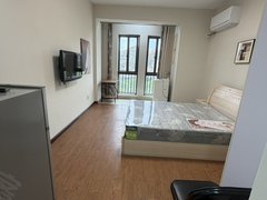 平湖平湖市区市区星洲东湖花苑单身公寓，1室1卫，精装修公寓 拎包入住出租房源真实图片