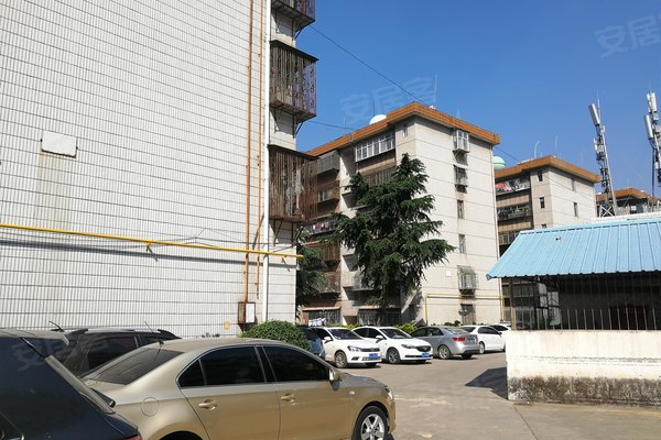 警苑小区(德化路)周边房产中介经纪人评价-大理安居客
