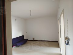 周口项城市其他项城碧桂园 3室1厅1卫出租房源真实图片