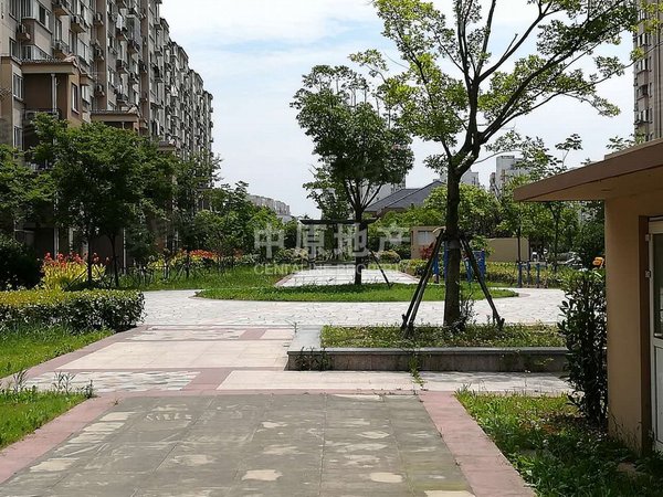 上海闵行浦江滨浦新苑五村全南户型,电梯房,繁华地段,近地铁出租房源