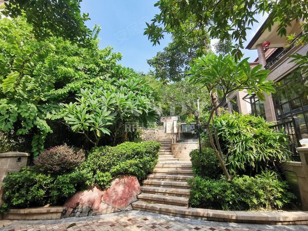 深圳南山前海大南山紫园(别墅)欧式奢华装修!初次出租!保养超好!