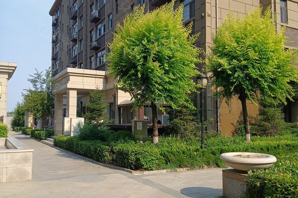 不足,龙城国际怎么样,龙城国际周边房产中介经纪人评价-济宁安居客