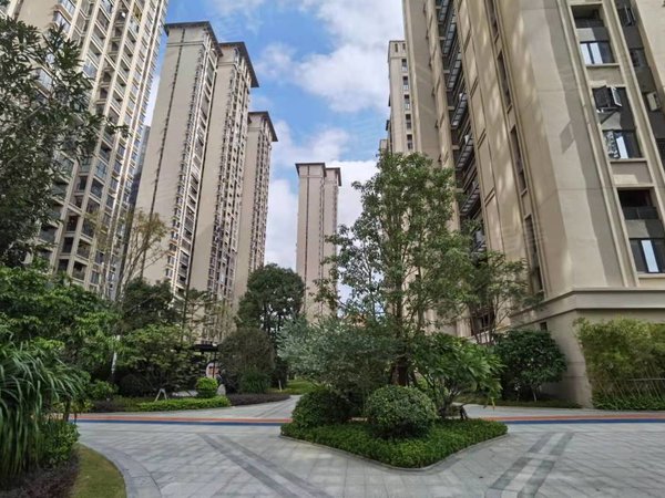 南安泉州保利城(商住楼)新出2房 保利城精装修出租房源真实图片