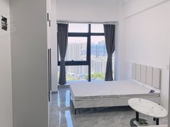 合肥瑶海铜陵路利港银河之光 1室1厅1卫出租房源真实图片