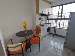 苏州吴中郭巷弘阳上湖一室一厅，精装修拎包入住，近地铁，欢迎随时看房出租房源真实图片