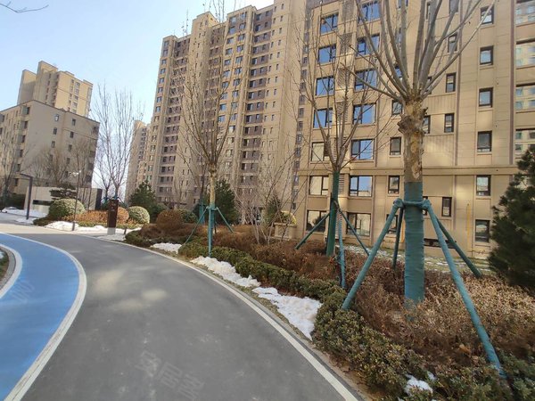 保定竞秀竞秀学校熙悦九里七一路三中 竞秀学校附近 熙悦九里 精装