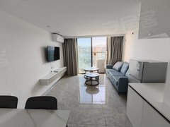 东莞黄江天虹融创公园首府(商住楼) 2室1厅1卫  电梯房 精装修出租房源真实图片