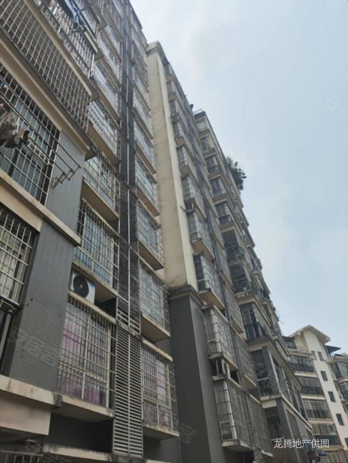 凯凌小苑3室2厅2卫127㎡南北68万