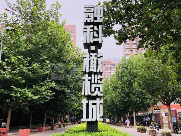 【多图】融科橄榄城(二期),望京租房,望京soho旁 精装半空,可配齐3室2