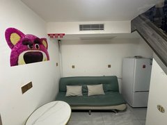 阜阳临泉光明南路姜子牙对面  上下两层 loft公寓  拎包入住 带空调出租房源真实图片