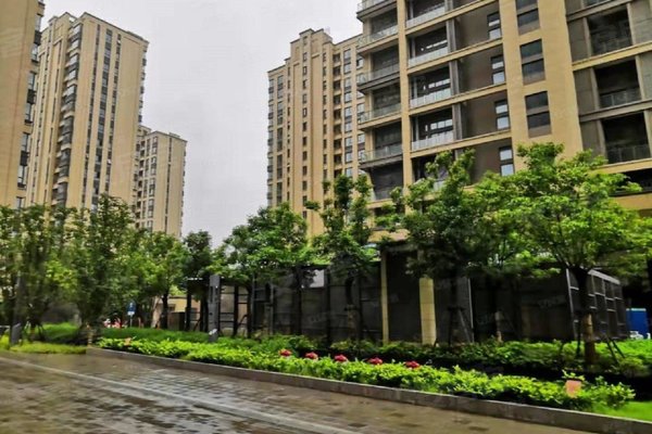 铂悦公馆附近学校有哪些?距离远吗?_甘真洋解读:小区向东500米是青浦.