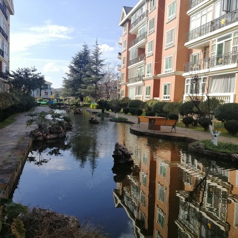 【听涛雅苑, 听涛雅苑小区详情,房价走势,房源,业主论坛】- 昆明58