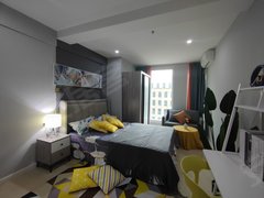 成都武侯簇桥近簇桥 9号线世纪百合商业广场 有电梯 精装修 近商圈可月付出租房源真实图片