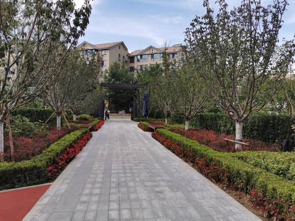 北京大兴亦庄林肯时代首词出租 林肯 国锐两居室 全齐出租 随时看