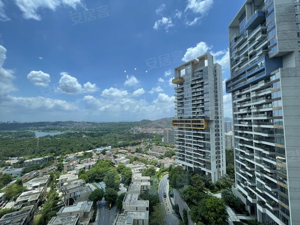 广州白云南湖新天半山新天半山 大平层豪宅285平 直播 居家 视野好