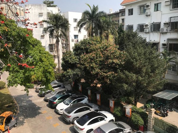 【多图】海滨花园(南山),蛇口租房,海上世界旁 方正三房 地铁口物业