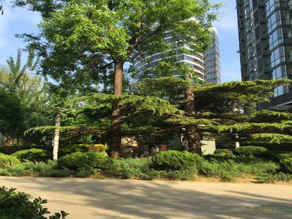 紫云轩10号名邸