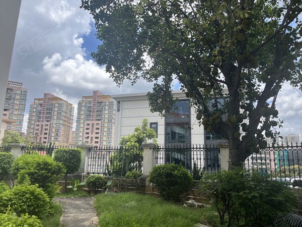 东莞长安长安中心区钻利花园(别墅)急租长安广场旁钻利花园一房一厅