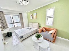 琼林苑公寓一室一厅 精装首租 滨湖CBD金融港人保大厦要素