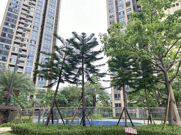 【多图】恒大锦苑,龙城国际租房,恒大锦苑全新三房拎包入住地铁口,大