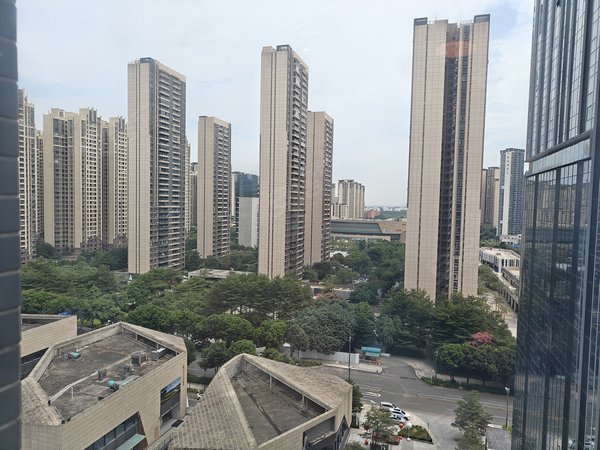 佛山顺德大良新城区保利中悦花园(商住楼)保利中悦公寓温馨装修拧包