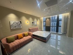 合肥高新客运西站圣联时代广场 电梯房 南北通透 20平出租房源真实图片