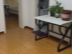 苏州工业园娄葑黄天荡新村 1室1厅1卫  精装修15平米出租房源真实图片