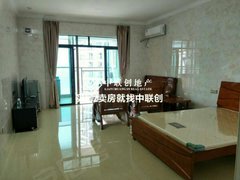 东湖天下高层 单身公寓精装 月租金1200