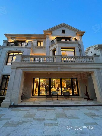 麓山国际带私人车库(独门独院丨前后双花园)大牌家具家电全带