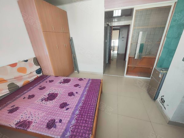 性价比超高 新枫公馆精装单身公寓直租 无中介费可付一 包物业