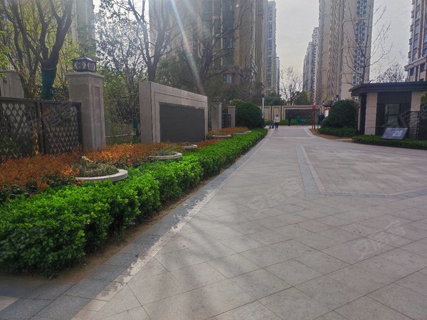 郑州高新区科学大道石佛祥园实拍!全新家电!首茨出租!无中介费!