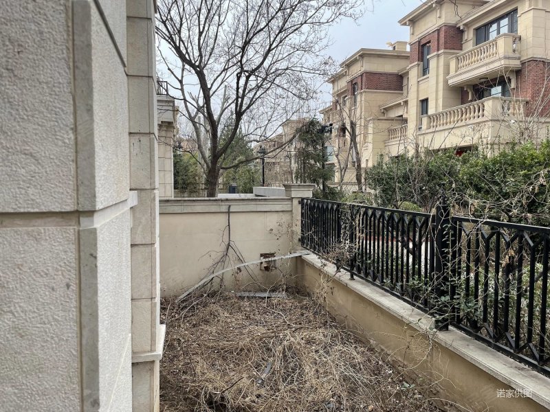 出行方便 近地铁 有电梯 满五 南北通透 近医院,金地紫乐府(别墅)二手