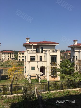 御江南别墅观景独栋别墅前后花园送100方带双学位免双税