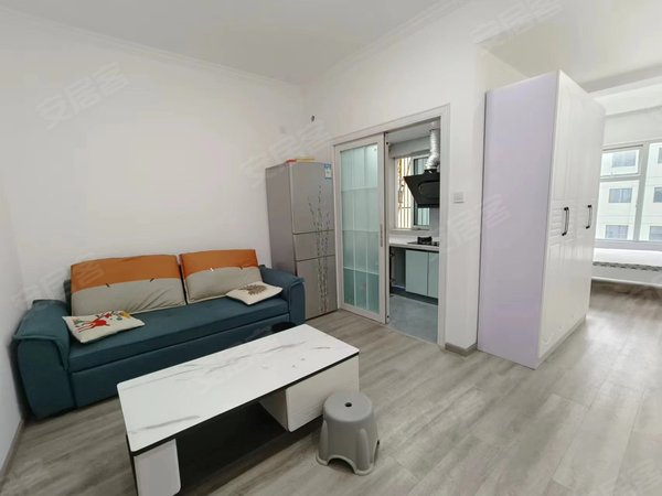 成都龙泉驿西河雄飞生活广场(商住楼)地铁口200米 精装套一 家具家电