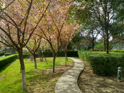 西港国际花园,桃园南路19号 - 西安西港国际花园二手房,租房,房价