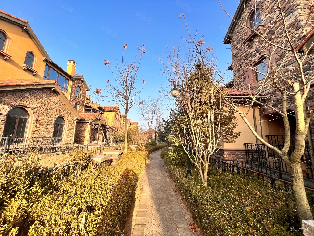 青岛房产网>青岛二手房>即墨二手房>蓝色硅谷二手房>青建橄榄树(别墅)