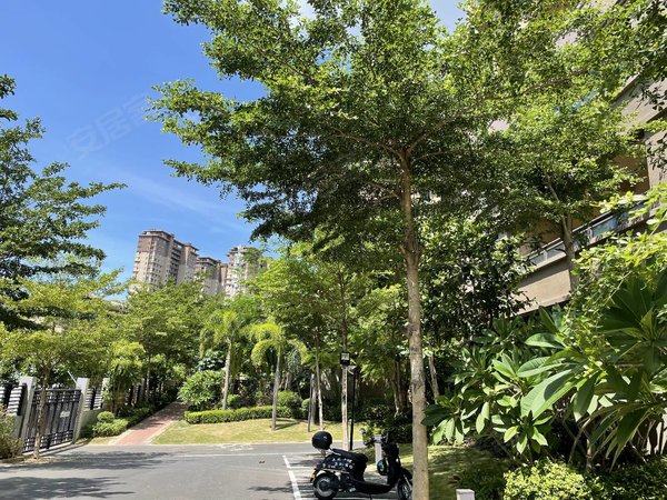 三亚吉阳凤凰水城润天水岸丹州小区 湿地公园旁 精装3房2厅 高层 视野