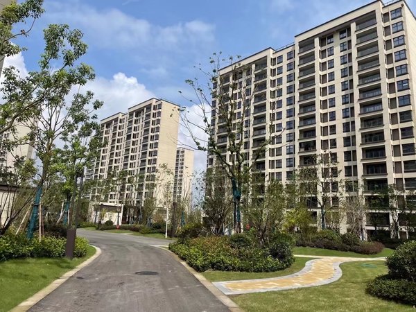 苏州吴江汾湖光樾华庭无中介费,单间带大阳台出租出租房源真实图片