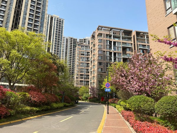 房东靠谱御景东方拎包入住!好楼层!车位另算有钥匙出租房源真实图片