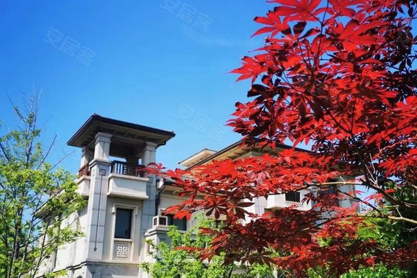 龙湖滟澜海岸(别墅),滨海东路199号-烟台龙湖滟澜海岸(别墅)二手房