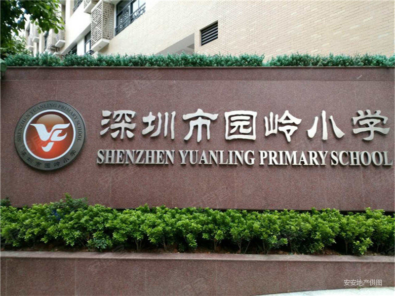 深圳园岭小学图片