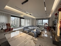 合肥滨湖新区高速时代广场一眼爱上 金鹏壹品天辰 奢装洋房 L型落地窗 欣赏落日之美!出租房源真实图片