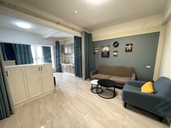 淮南田家庵万达广场万达精装公寓首租 装修时尚空间大 中间楼层 下楼就是商业街出租房源真实图片