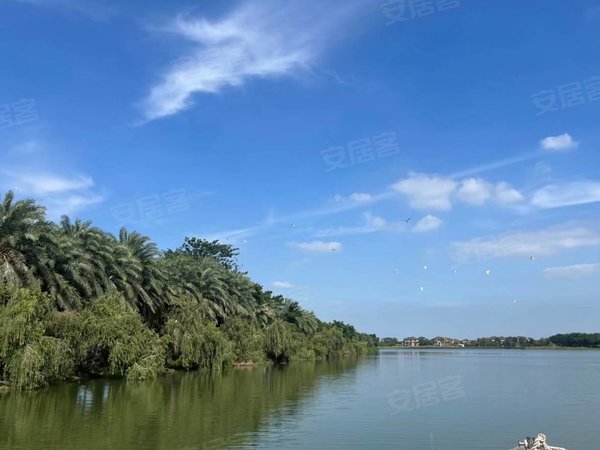 广州南沙黄阁万科白鹭郡花园(别墅)南沙 适合办公居住,湖边别墅出租