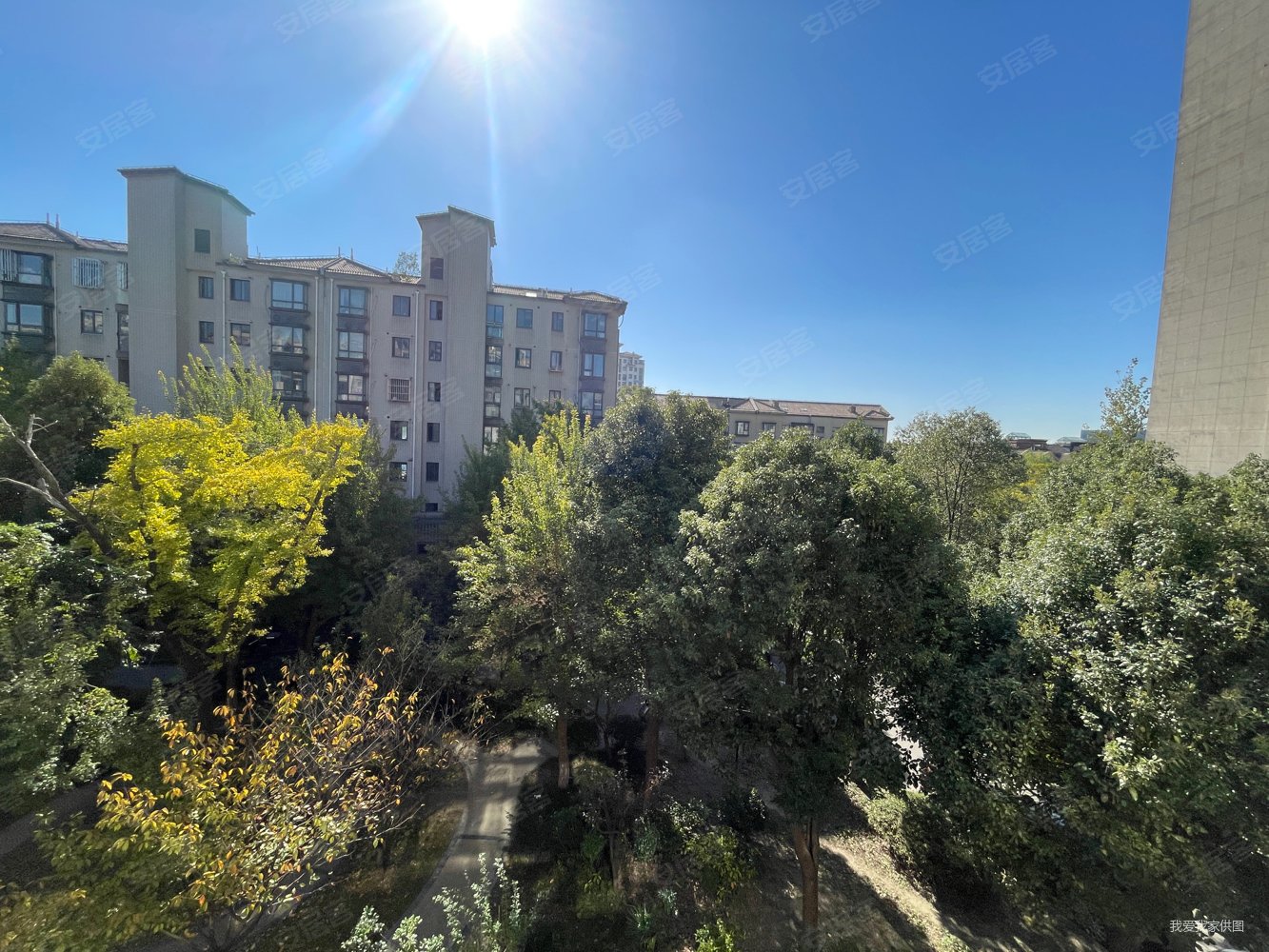 新上品质商品房顾村好房源126平米带产权车位电梯洋房楼层好,新天地荻