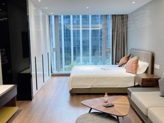 柳州鱼峰谷阜街无中介費 龙潭公园 柳石路 兆安福园附近 酒店公寓 电梯入户出租房源真实图片